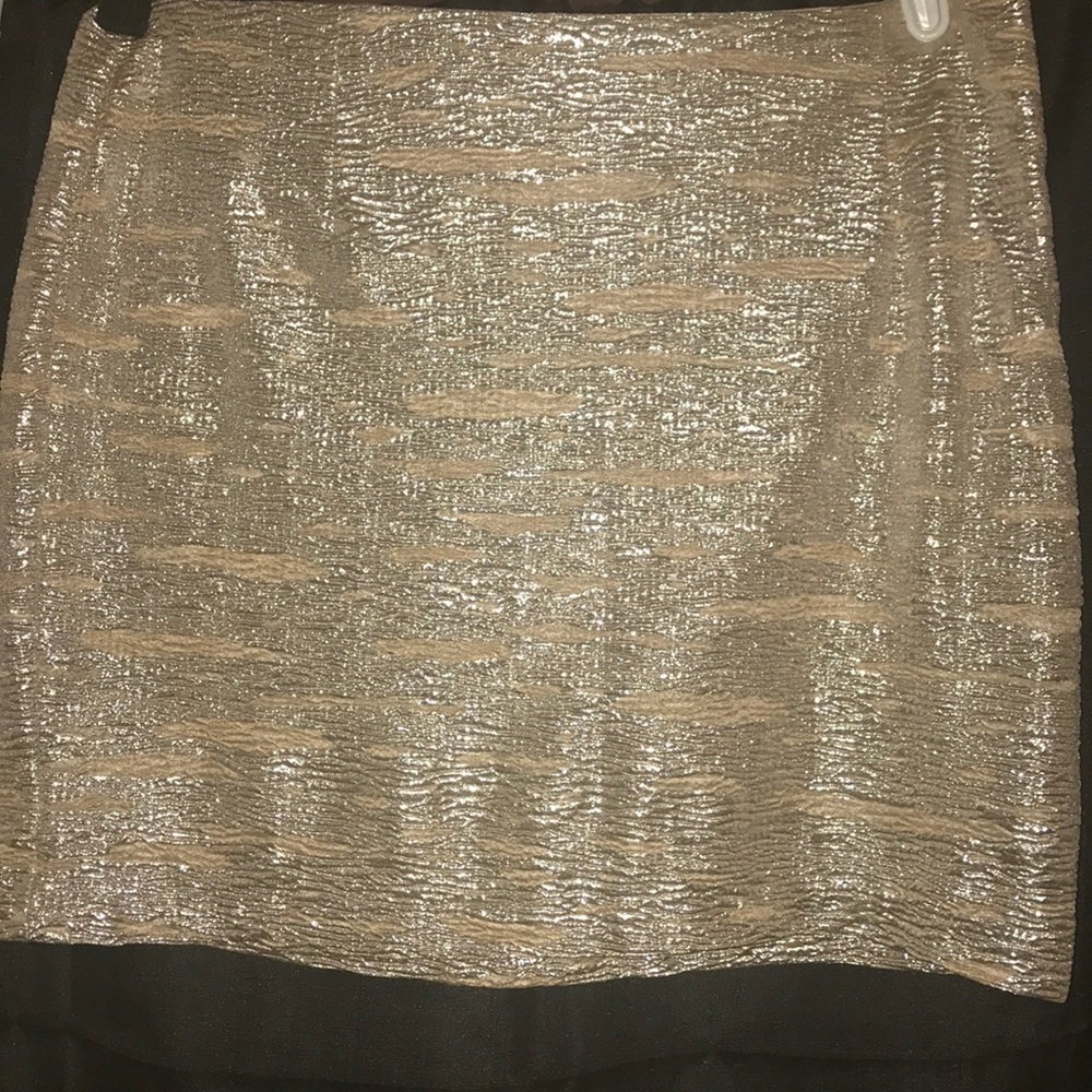 Potter’s Pot Sparkling Mini Skirt